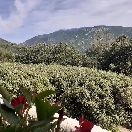 Apartman Ventoux *